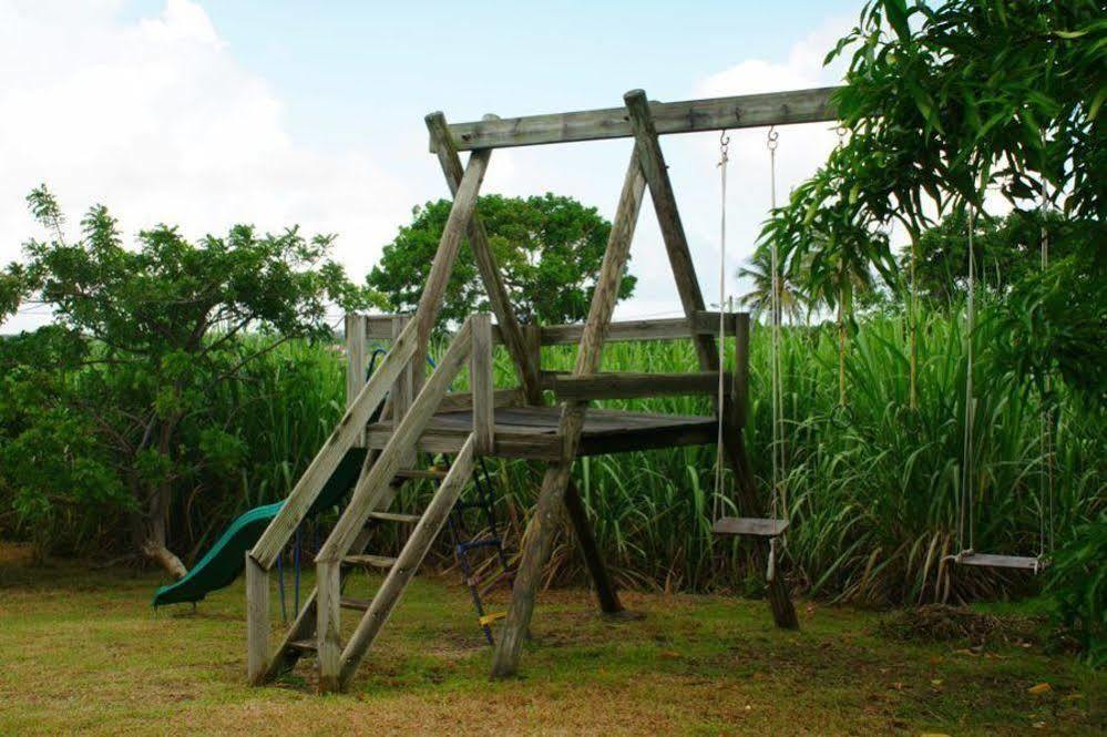 ホテル Au Jardin De Beausejour Capesterre エクステリア 写真