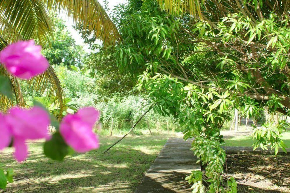 ホテル Au Jardin De Beausejour Capesterre エクステリア 写真
